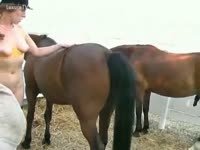 Horse getting sucked off by tramp
